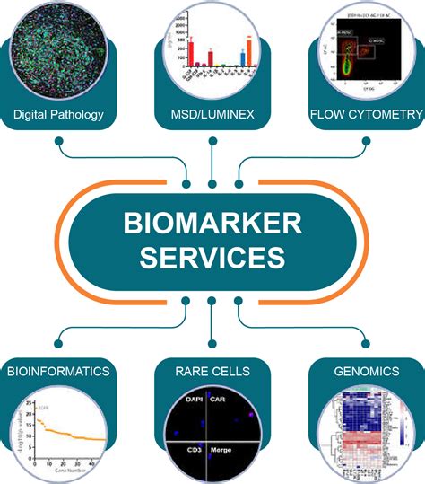 laboratory biomarker analysis|biomarker analysis methods.